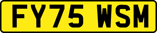 FY75WSM