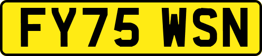 FY75WSN