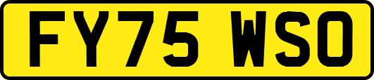 FY75WSO