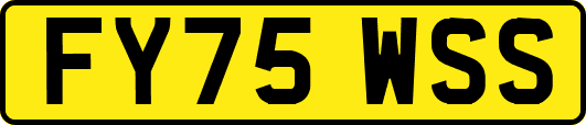 FY75WSS