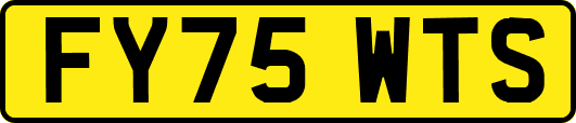 FY75WTS
