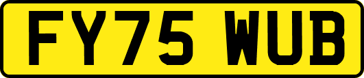 FY75WUB