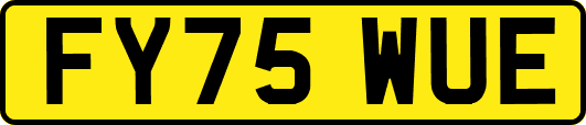 FY75WUE