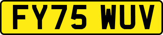 FY75WUV