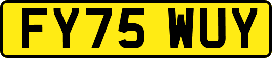 FY75WUY