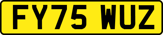 FY75WUZ