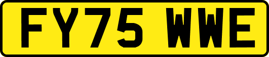FY75WWE
