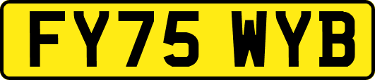 FY75WYB