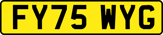 FY75WYG