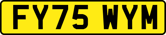 FY75WYM