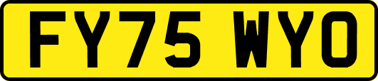 FY75WYO
