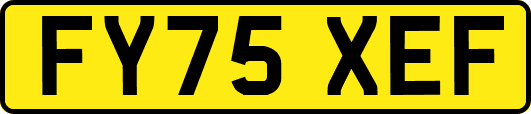 FY75XEF