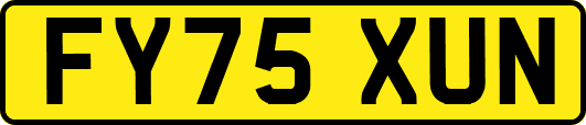FY75XUN
