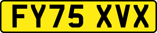 FY75XVX