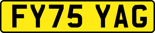 FY75YAG