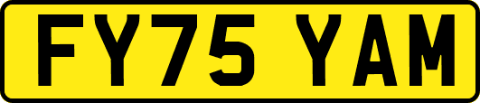 FY75YAM