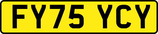 FY75YCY