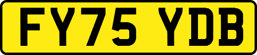 FY75YDB