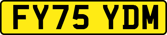 FY75YDM