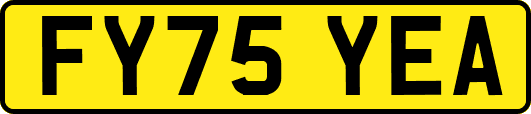 FY75YEA