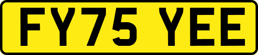FY75YEE