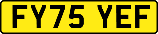 FY75YEF