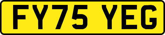 FY75YEG