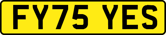 FY75YES
