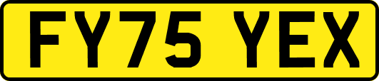 FY75YEX