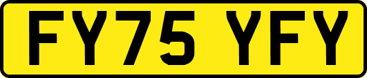 FY75YFY