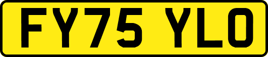 FY75YLO