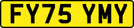 FY75YMY