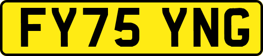 FY75YNG