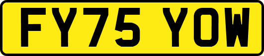 FY75YOW