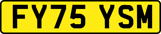 FY75YSM