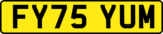 FY75YUM