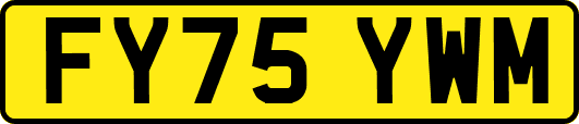 FY75YWM