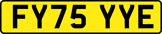 FY75YYE