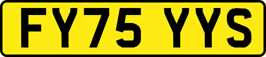 FY75YYS
