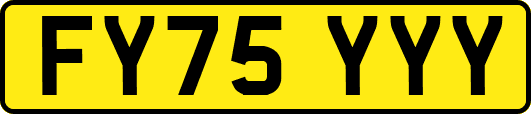 FY75YYY