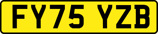 FY75YZB