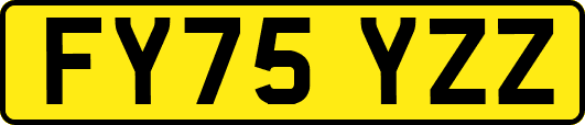 FY75YZZ