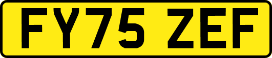 FY75ZEF
