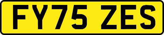 FY75ZES