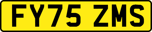 FY75ZMS