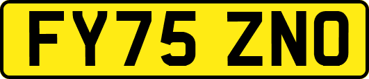FY75ZNO