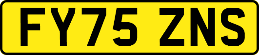 FY75ZNS
