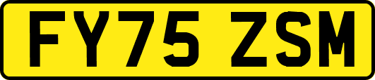 FY75ZSM