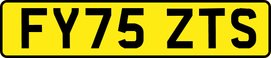 FY75ZTS