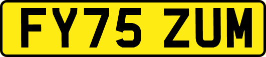 FY75ZUM